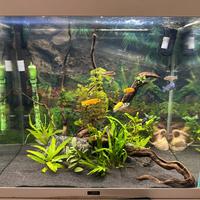 Acquario Ciano Emotions Biofilter Pro 60 LED