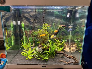 Acquario Ciano Emotions Biofilter Pro 60 LED