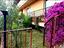 Immagine 6