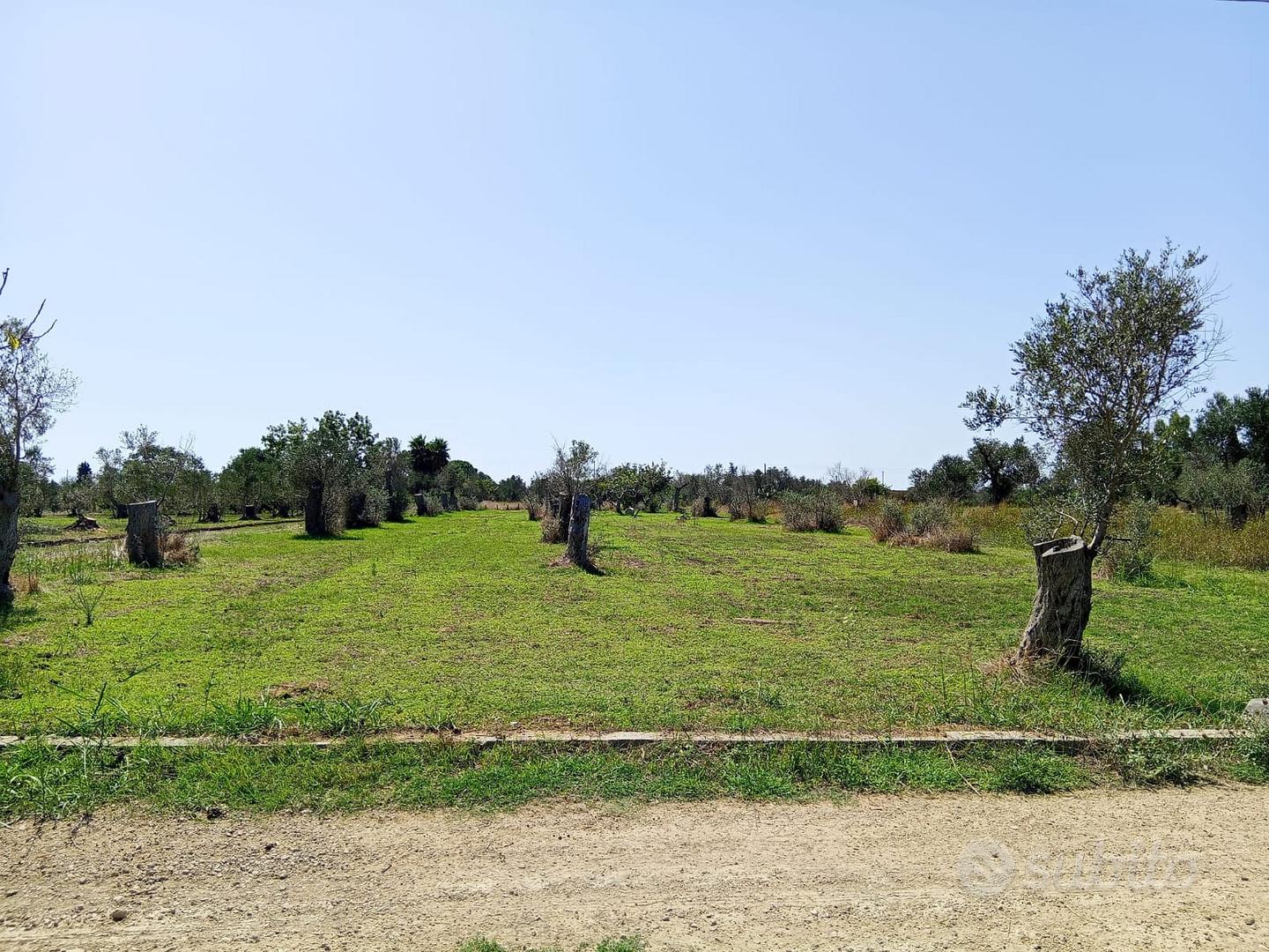 Terreno agricolo 32 aree - Altro