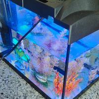 Acquario Tetra Starter line Goldfish 30Lt.