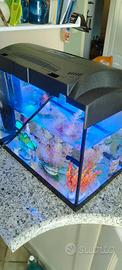 Acquario Tetra Starter line Goldfish 30Lt.