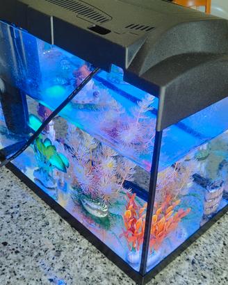 Acquario Tetra Starter line Goldfish 30Lt.