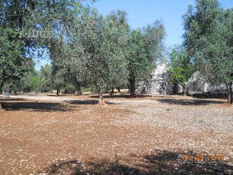 Trullo monocono in 86 are uliveto - Vista 3