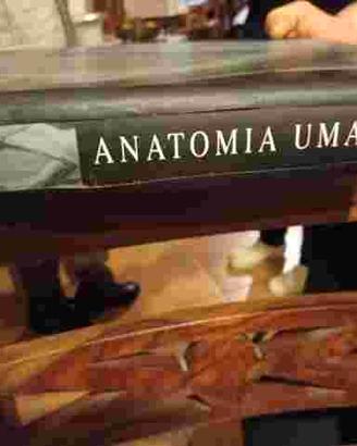 Libro ANATOMIA UMANA