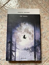 Libro “Nel muro” di Mauro Corona