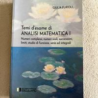 Libro Temi d’esame di Analisi Matematica 1