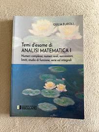 Libro Temi d’esame di Analisi Matematica 1