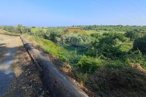 Terreno - Santa Venerina