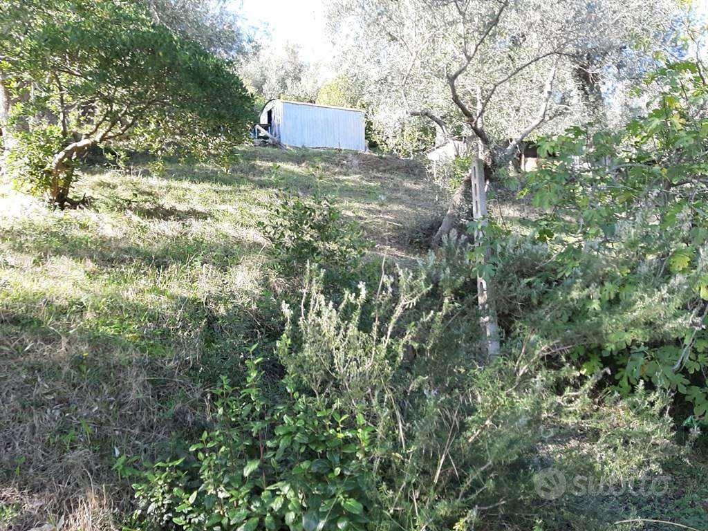 Rif.AA-T32| terreno agricolo follonica - Vista 3
