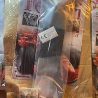 Ferrari F2007 DeAgostini busta montaggio n.31