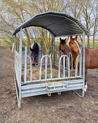 Rastrelliera portafieno portaballoni