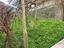Immagine 12