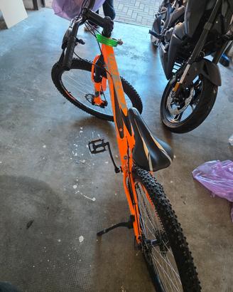 biciclette 