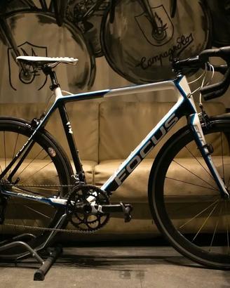 Bici Focus Evo