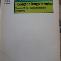 I Budget a Lungo Termine