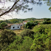 Appartamenti in villa