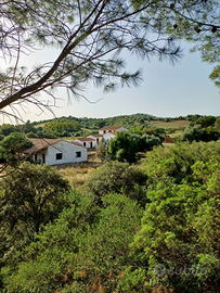 Appartamenti in villa