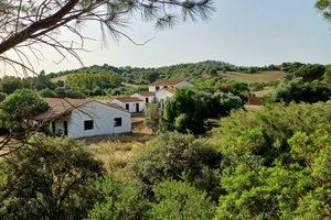 Appartamenti in villa