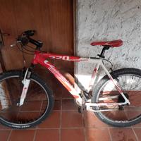 MTB Lombardi Alverstone270