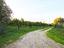 Immagine 12