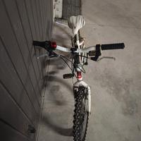 Bicicletta 20" bambino o bambina