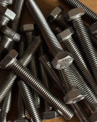 Viti inox M8x55 testa esagonale