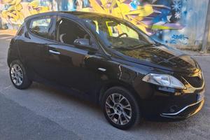 lancia y
