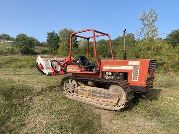 Trattore Fiat 80-75 cingolato