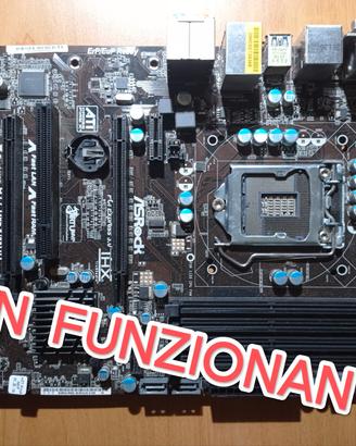 NON funzionante ASRock H77 pro4/mp ddr3