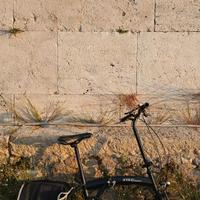 Bicicletta pieghevole