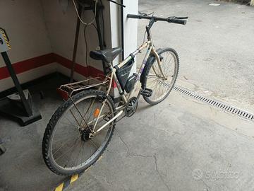 bicicletta  da uomo 