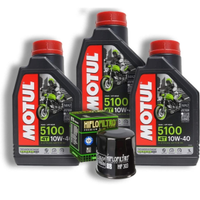 Tagliando Honda Shadow Vt 600 completo