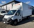 fiat-ducato-2-3l-140cv-cassa-e-pedana-2021-e6