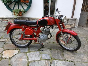 Benelli leoncino