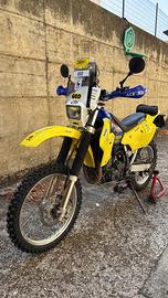 Suzuki DRZ400S con torretta + Carplay
