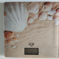 Bilancia pesapersone elettronica