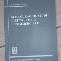 Libro universitario di Diritto