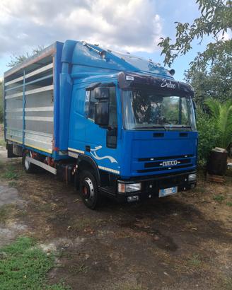 EuroCargo 80E21 collaudato a 75 quintali