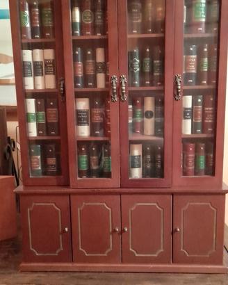 Mini libreria de agostini
