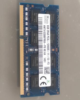 Ram SK da 8 Gb