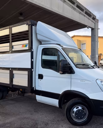 Iveco Daily Trasporto animali vivi patente B 2015