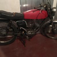 Moto Morini corsarino 50 ZZ