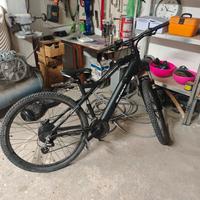 F.lli Schiano E-Mercury