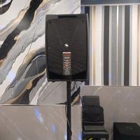 coppia casse proel v plus 10