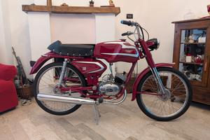 Testi - Grand Prix 50 - 1966