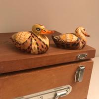 Coppia di germani in pietra dipinti a mana