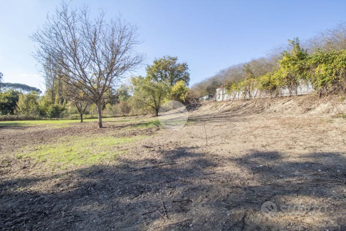 TER. AGRICOLO A PALOMBARA SABINA - Altro