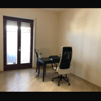 Sedia da scrivania o da studio