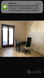 Sedia da scrivania o da studio